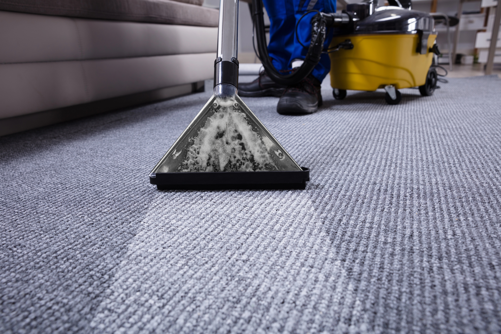 carpet cleaning near Glen Cove