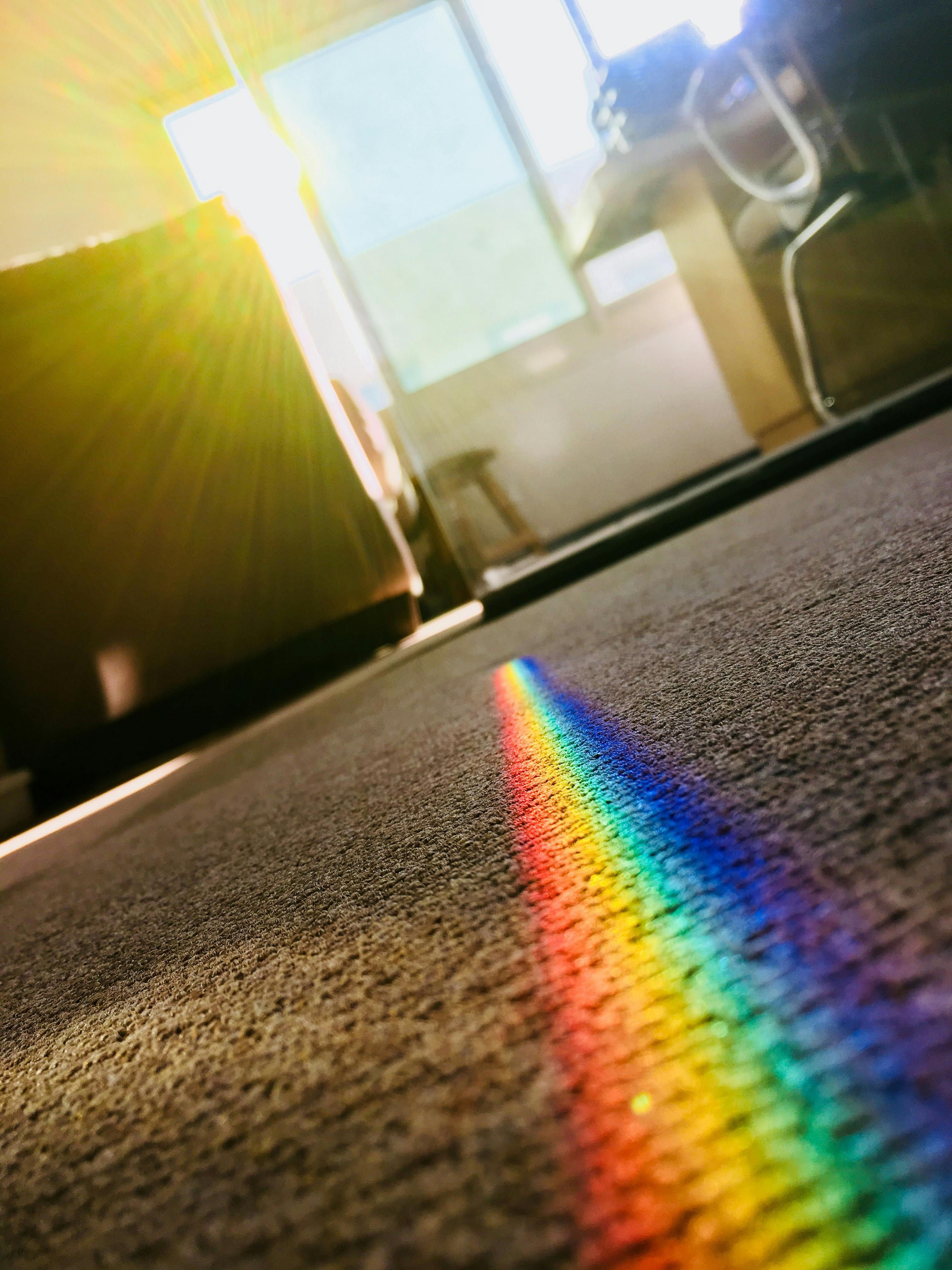 Professional rug cleaning in Glen Cove