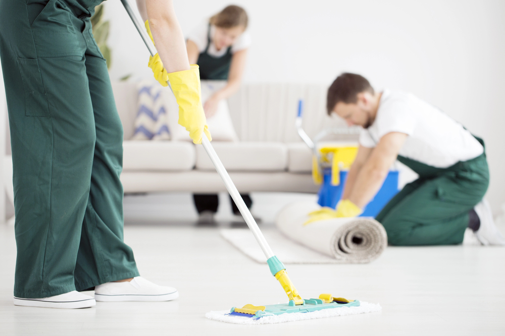 carpet cleaning in Glen Cove