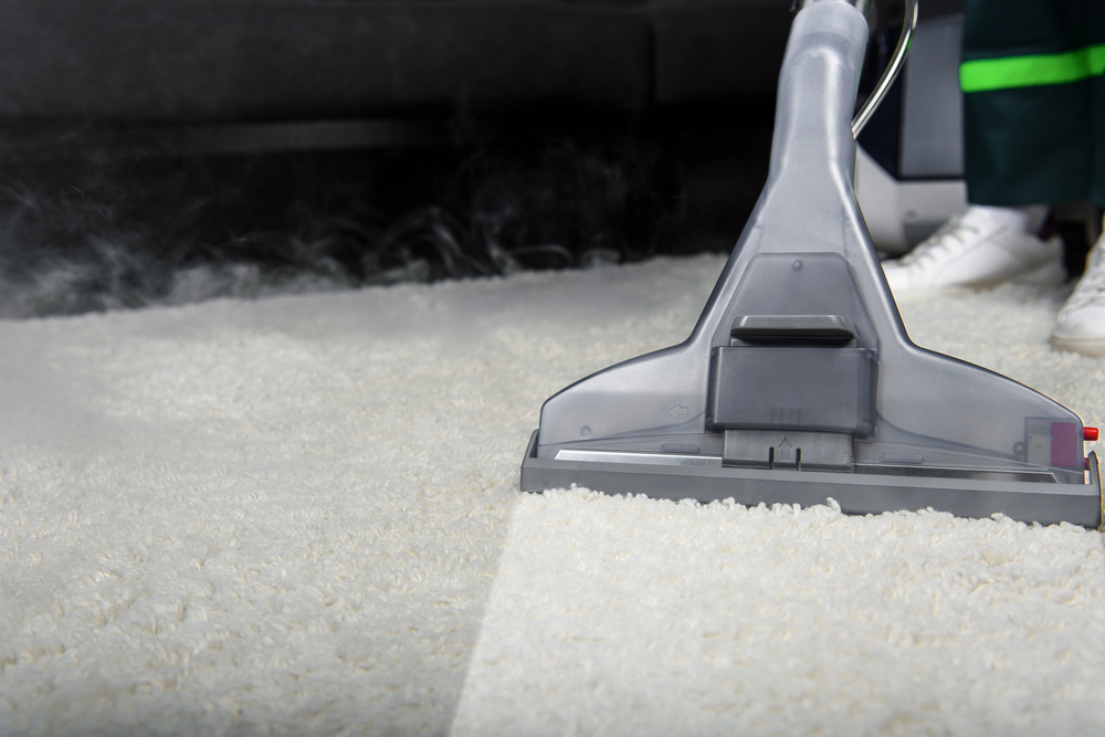 Emergency carpet cleaning in Glen Cove