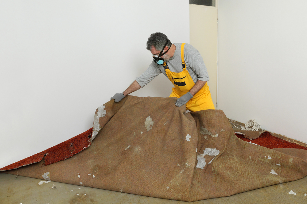 Upholstery cleaning in Glen Cove